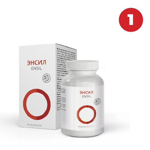 Акция — Энсил (1 шт.)